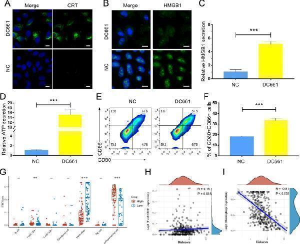 m02690 12935_2022_2508_fig6_html