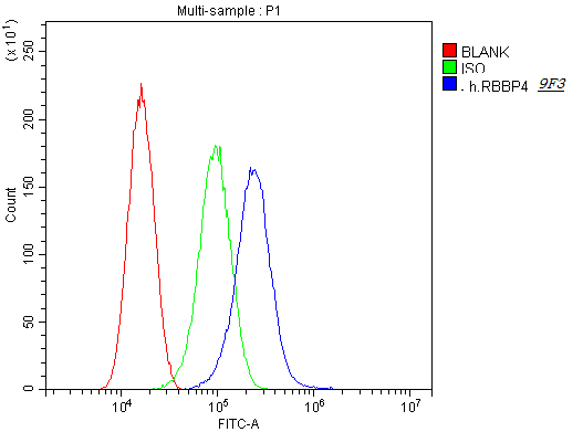 Flow Cytometry analysis of SiHa cells using anti-RbAp48 antibody (M02702-1). Overlay histogram showing SiHa cells stained with M02702-1 (Blue line).The cells were blocked with 10% normal goat serum. And then incubated with mouse anti-RbAp48 Antibody (M02702-1,1μg/1x106 cells) for 30 min at 20°C. DyLight®488 conjugated goat anti-mouse IgG (BA1126, 5-10μg/1x106 cells) was used as secondary antibody for 30 minutes at 20°C. Isotype control antibody (Green line) was rabbit IgG (1μg/1x106) used under the same conditions. Unlabelled sample (Red line) was also used as a control.