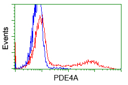 m02714 1 anti pde4a mouse monoclonal antibody clone id oti1c8 flow cytometry testing 10