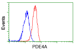 m02714 anti pde4a mouse monoclonal antibody clone id oti7b11 flow cytometry testing 10