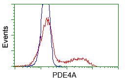 m02714 anti pde4a mouse monoclonal antibody clone id oti7b11 flow cytometry testing 9
