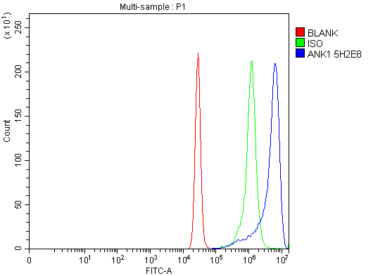  Flow Cytometry analysis of K562 cells using anti-Ankyrin erythroid/ANK/ANK1 antibody (M02716-1)