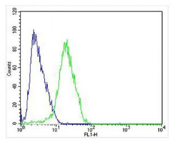 m02733 anti chrm2 antibody fc testing 5