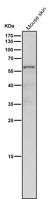 m02752 1 wb9