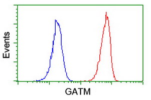 m02754 anti gatm mouse monoclonal antibody clone id oti1e3 flow cytometry testing 12