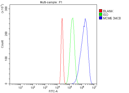 m02755 1 mcm6 primary antibodies fcm testing 10