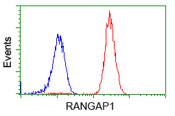 m02771 anti rangap1 mouse monoclonal antibody clone id oti1b4 flow cytometry testing 10
