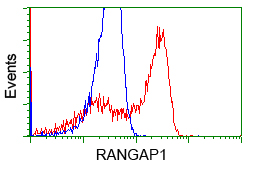 m02771 anti rangap1 mouse monoclonal antibody clone id oti1b4 flow cytometry testing 8