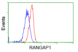 m02771 anti rangap1 mouse monoclonal antibody clone id oti1b4 flow cytometry testing 9