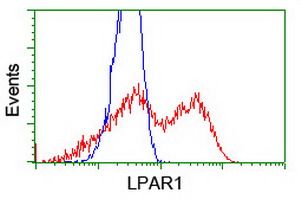 HEK293T cells transfected with either overexpress plasmid (Red) or empty vector control plasmid (Blue) were immunostained by anti-LPAR1 antibody (), and then analyzed by flow cytometry