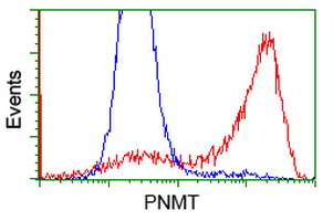 m02813 1 anti pnmt mouse monoclonal antibody clone id oti2d5 flow cytometry testing 3