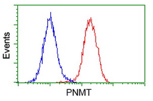 m02813 1 anti pnmt mouse monoclonal antibody clone id oti2d5 flow cytometry testing 4