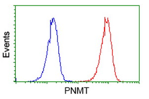 m02813 1 anti pnmt mouse monoclonal antibody clone id oti2d5 flow cytometry testing 5