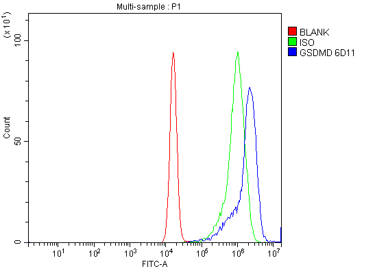 m02842 gsdmd primary antibodies fcm testing 6