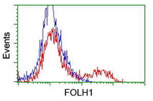 m02846 3 anti psma folh1 mouse monoclonal antibody clone id oti3h5 flow cytometry testing 5