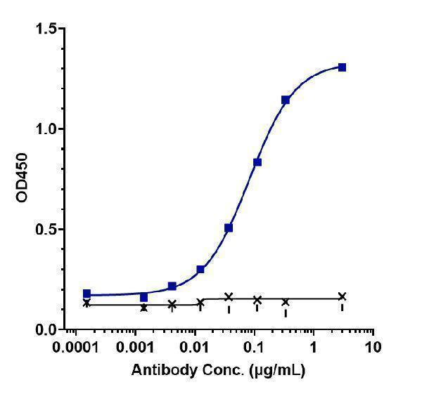Immobilized huaman CD70 FC at4 &mug/mL can bind Anti-TNFSF7/CD27L/CD70 Reference Antibody (cusatuzumab)