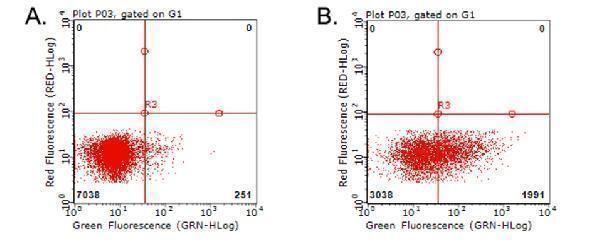 m02853 anti cd70 mouse monoclonal antibody clone id oti7b2 flow cytometry testing 4