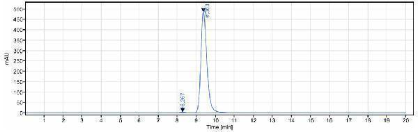 Anti-TNFRSF13C/BAFFR/CD268 Reference Antibody (ianalumab) on SDS-PAGE under reducing (R) condition