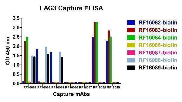 m02869 1 lag3 primary antibodies elisa testing 8
