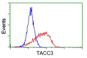 m02876 2 anti tacc3 mouse monoclonal antibody clone id oti1e11 flow cytometry testing 4