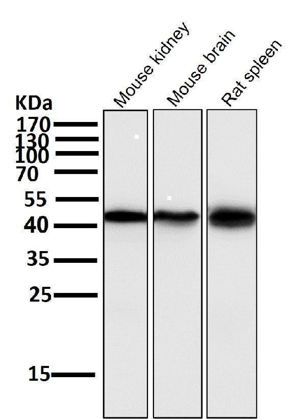m02885 wb7
