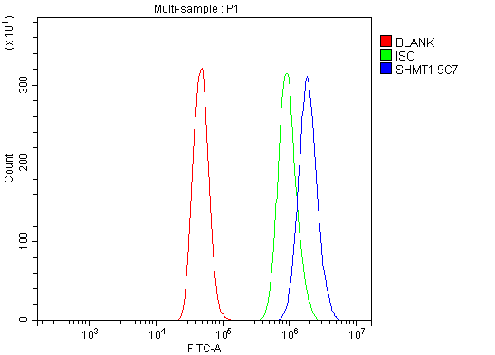 m02944 shmt1 primary antibodies fcm testing 4