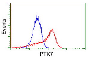 HEK293T cells transfected with either PTK7 (Myc-DDK-tagged) overexpress plasmid (Red) or empty vector control plasmid (Blue) were immunostained by anti-PTK7 antibody (M02957)