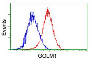m02975 2 anti golph2 golm1 mouse monoclonal antibody clone id oti4b12 flow cytometry testing 9