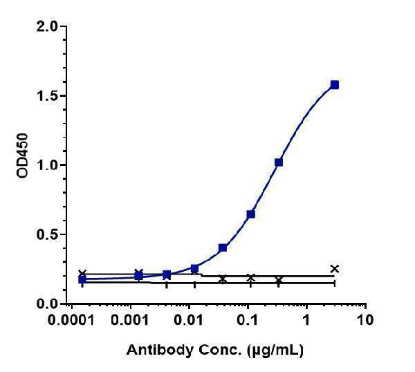 Immobilized human CD105 His at 2 &mug/mL can bind Anti-Endoglin/CD105 Reference Antibody (carotuximab-MMAE)