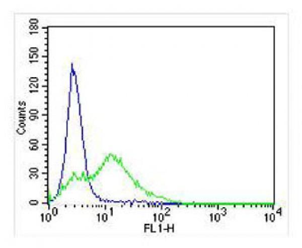 Overlay histogram showing U-87 MG cells stained with M03010 (green line)