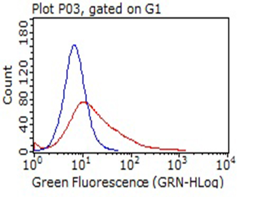 HEK293T cells transfected with either IL15RA (Myc-DDK tagged) -Homo sapiens interleukin 15 receptor