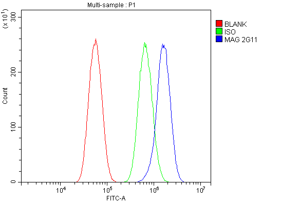 m03019 mag primary antibodies fcm testing 4