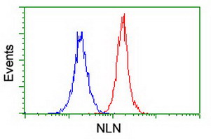 m03028 anti nln mouse monoclonal antibody clone id oti3h4 flow cytometry testing 10