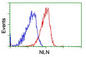 m03028 anti nln mouse monoclonal antibody clone id oti3h4 flow cytometry testing 9