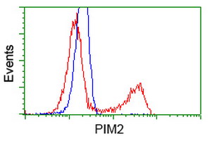 m03053 1 anti pim2 mouse monoclonal antibody clone id oti5d5 flow cytometry testing 8