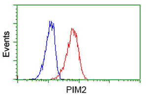 m03053 1 anti pim2 mouse monoclonal antibody clone id oti5d5 flow cytometry testing 9