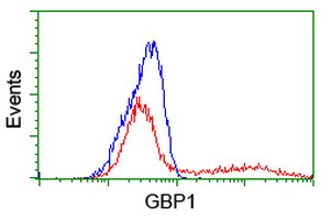 m03067 anti gbp1 mouse monoclonal antibody clone id oti1b2 flow cytometry testing 5