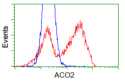 m03096 1 anti aconitase 2 aco2 mouse monoclonal antibody clone id oti7a11 flow cytometry testing 2