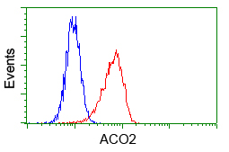 m03096 1 anti aconitase 2 aco2 mouse monoclonal antibody clone id oti7a11 flow cytometry testing 3