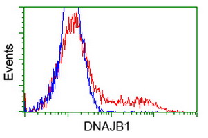 m03100 anti hsp40 dnajb1 mouse monoclonal antibody clone id oti1e9 flow cytometry testing 6