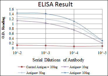 m03105 tdgf1 primary antibodies wb testing 1