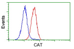 Flow cytometric Analysis of Hela cells