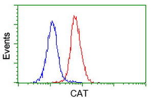 Flow cytometric Analysis of Jurkat cells