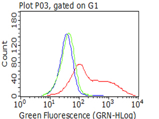 m03123 2 anti catalase cat mouse monoclonal antibody clone id oti1b6 flow cytometry testing 13