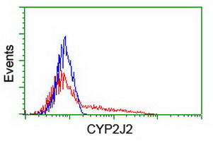 m03128 1 anti cytochrome p450 2j2 cyp2j2 mouse monoclonal antibody clone id oti3a3 flow cytometry testing 2