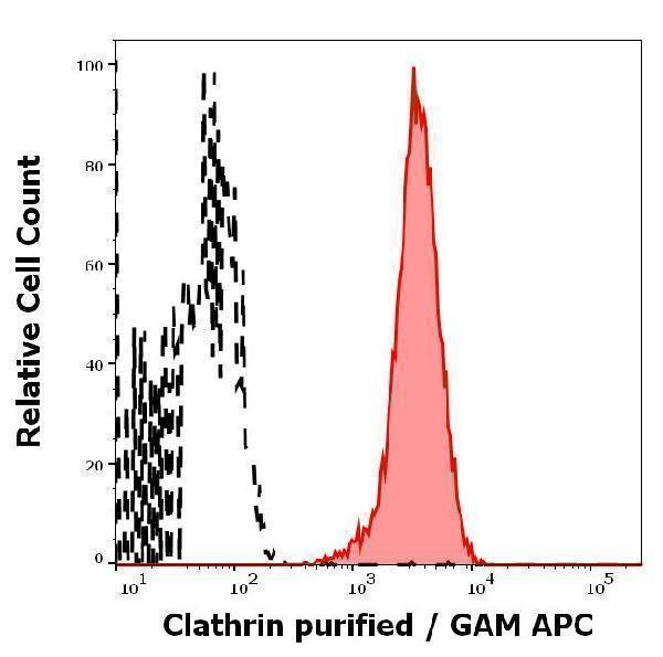m03134 1 clathrin heavy chain primary antibodies fc testing 1