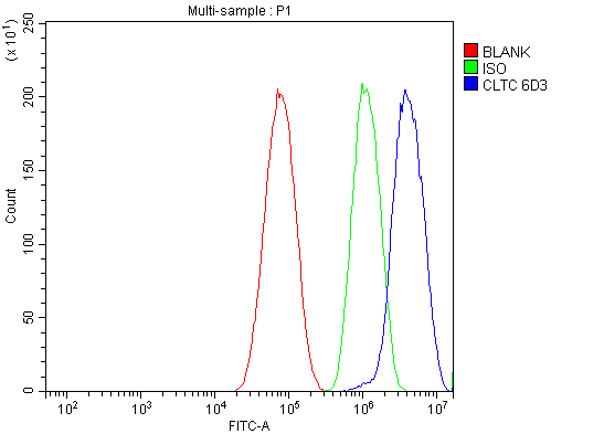 m03134 2 cltc primary antibodies fcm testing 5