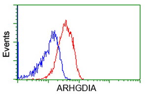 m03135 anti rhogdi arhgdia mouse monoclonal antibody clone id oti1f2 flow cytometry testing 6