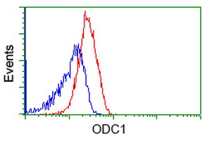 m03138 1 anti ornithine decarboxylase odc1 mouse monoclonal antibody clone id oti1g6 flow cytometry testing 4