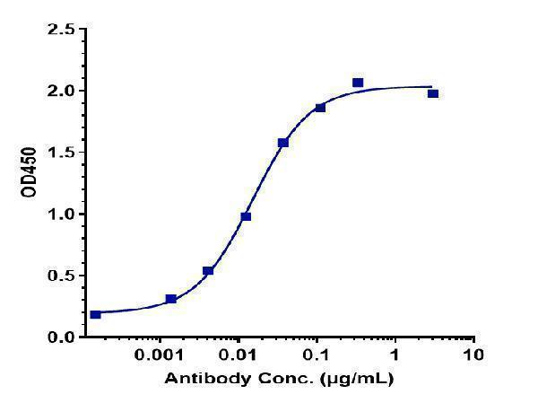 Immobilized human BTLA His at 2 &mug/mL can bind Anti-BTLA/CD272 Reference Antibody (icatolimab)
